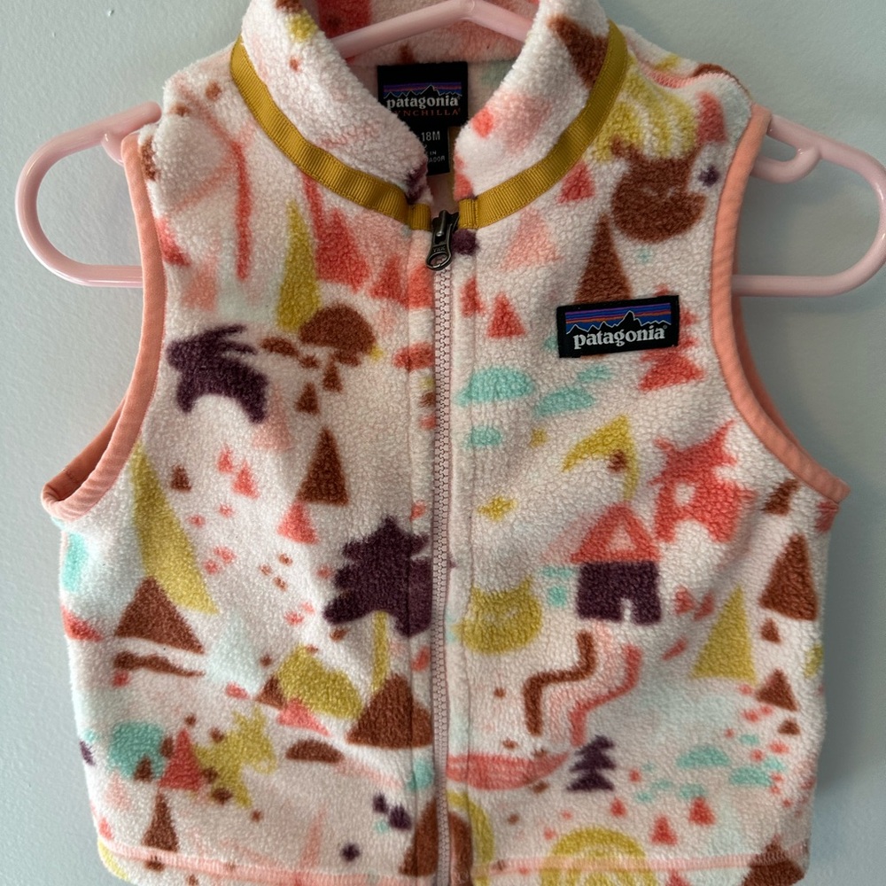 Patagonia Fleece Vest